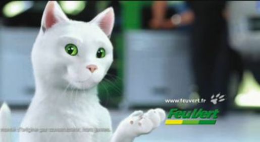 Pourquoi Voit On De Plus En Plus D Animaux Enquaªtes Sur La Consommation En France