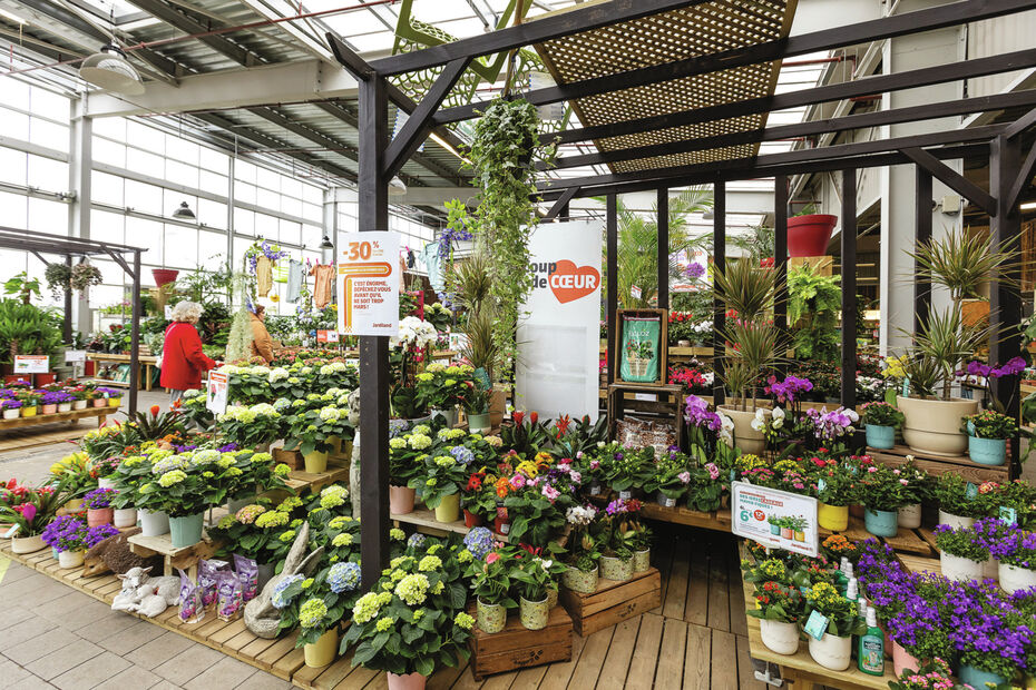 Sitemapcdatahttpsfreydreferenzcombonsai Prix Jardilandnull