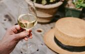 Les vins de Bordeaux en été : frais, fruités et engagés