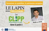 Le lapin, viande remarquable sur le marché de la distribution alimentaire en France