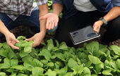 IA, data, Cloud : quand l’agriculture entre dans une révolution numérique