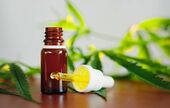 Mythes vs réalités : trois choses à savoir sur l’huile de CBD !