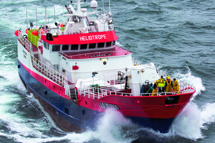 Matériel pêche en Mer Charleroi