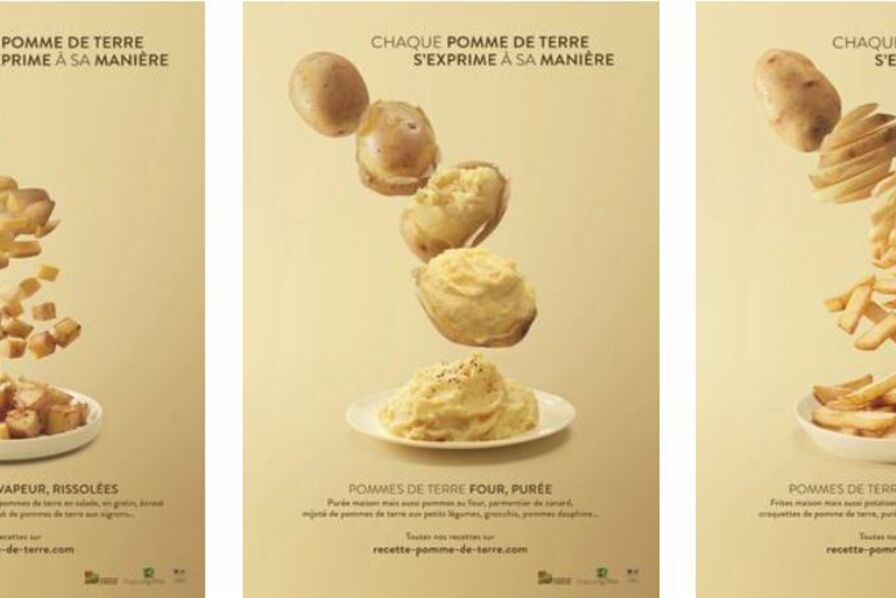 Images de Doryphore De La Pomme De Terre - Téléchargement gratuit sur
