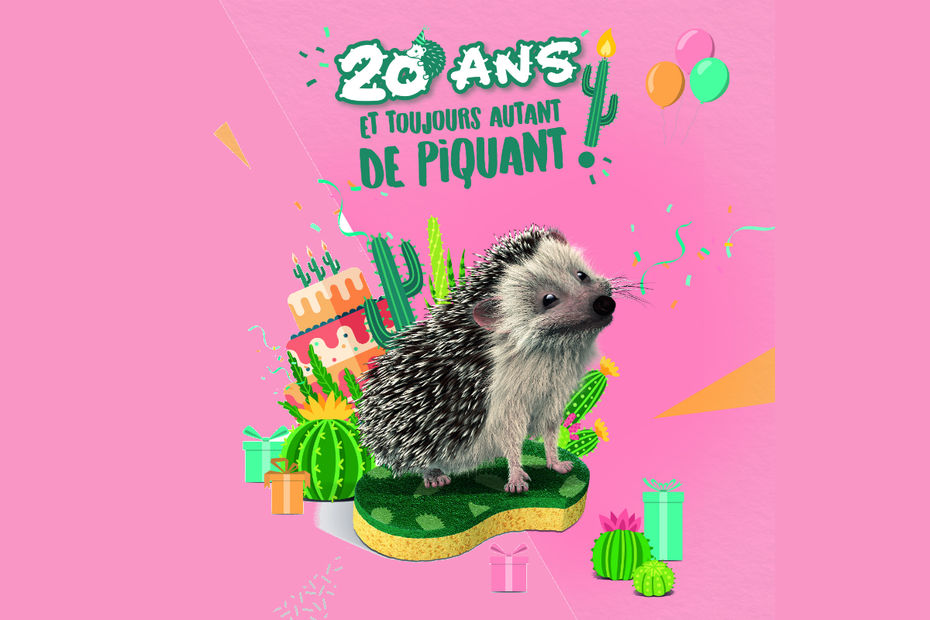 Le Saviez Vous Le Herisson Spontex A Ans