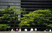 Location de bureaux écoresponsables : les nouveaux enjeux