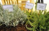 Le sourcing ingrédients et matières premières bio