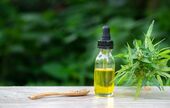 CBD : qu'est-ce qui a changé ?